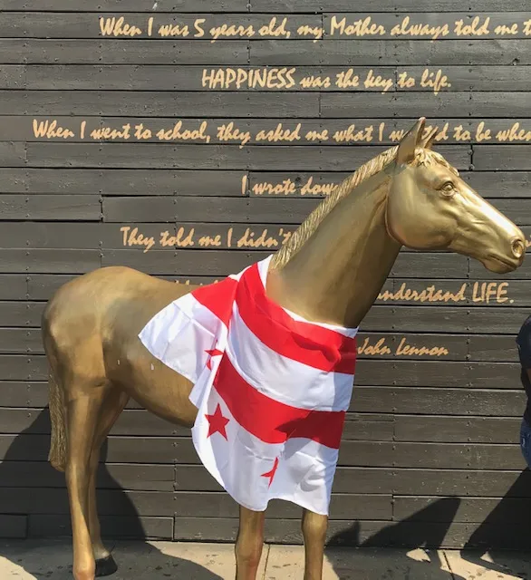 horse statue draped in dc flag